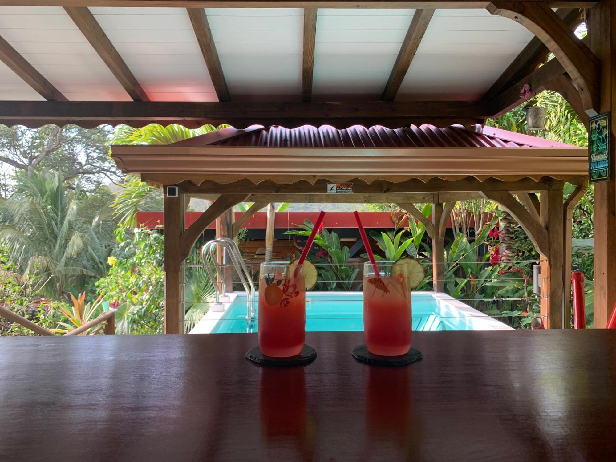 Les Ilets Caraibes Vue Mer Bouillante Eksteriør billede