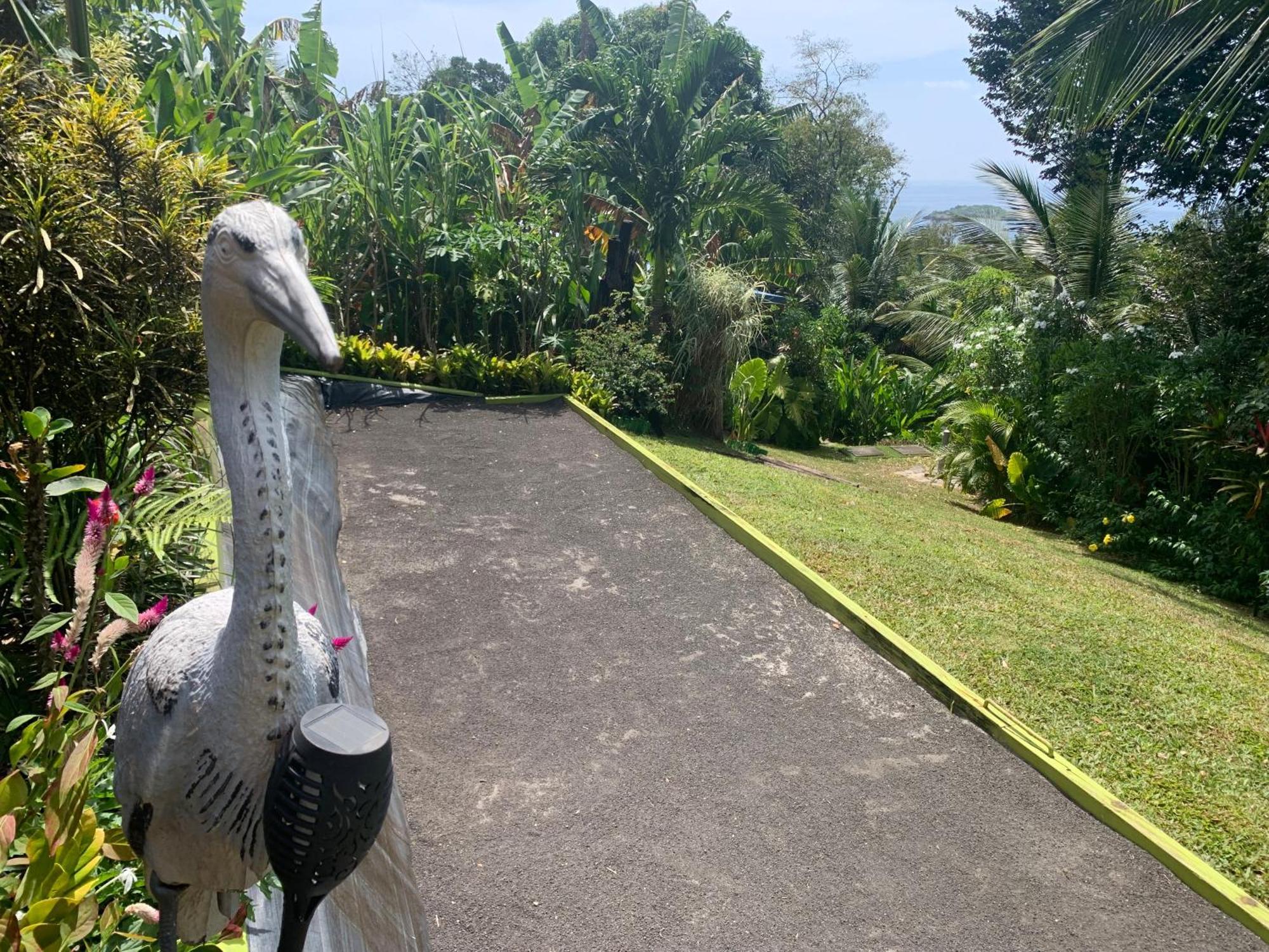 Les Ilets Caraibes Vue Mer Bouillante Eksteriør billede