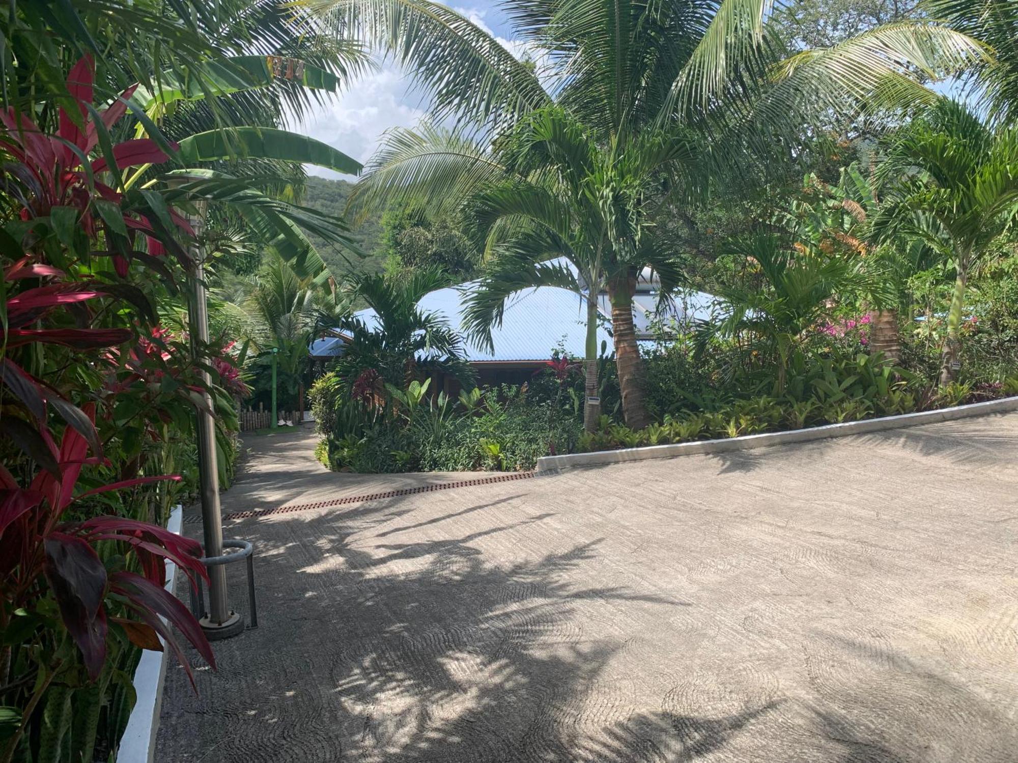 Les Ilets Caraibes Vue Mer Bouillante Eksteriør billede