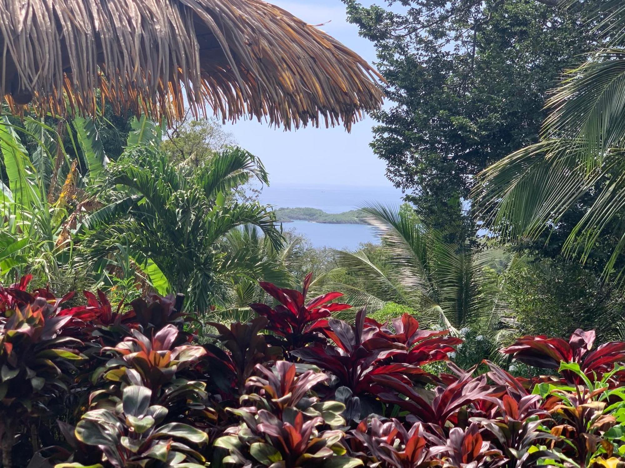 Les Ilets Caraibes Vue Mer Bouillante Eksteriør billede